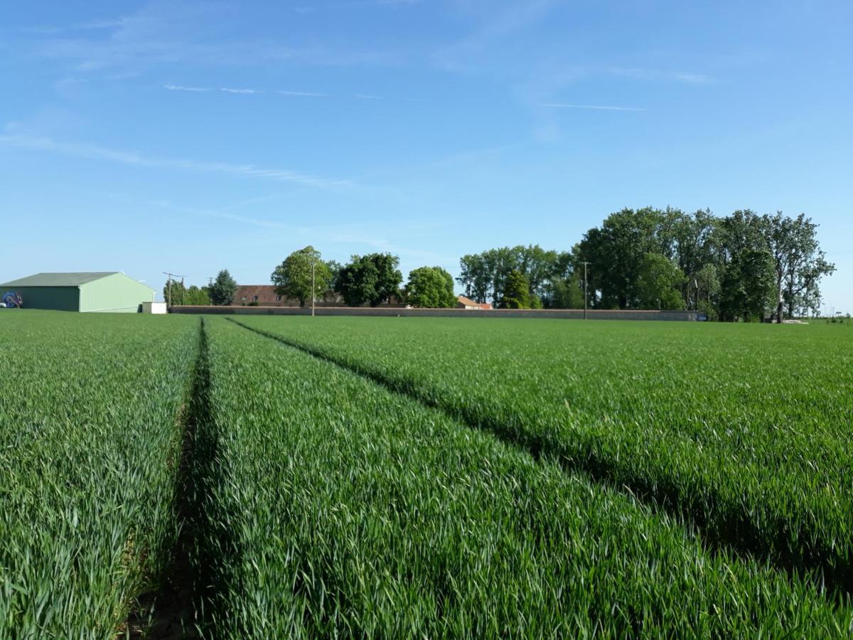 Ferme De Mesangeon Villa Beauvilliers  Bagian luar foto